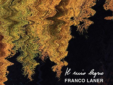 Una dichiarazione d'amore per il legno nelle pagine del professor Franco Laner